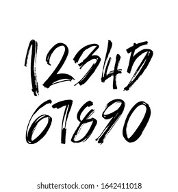 vector set of calligraphic acrylic or ink numbers. ABC for your design, brush lettering on a white background