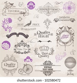 Vector Set: Calligraphic Design Elements and Page Decoration, Vintage Frame collection with Flowers