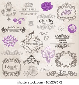 Vector Set: Calligraphic Design Elements and Page Decoration, Vintage Frame collection with Flowers