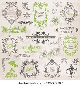 Vector Set: Calligraphic Design Elements and Page Decoration, Vintage Frame collection with Flowers
