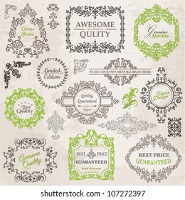 Vector Set: Calligraphic Design Elements and Page Decoration, Vintage Frame collection with Flowers