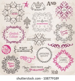 Vector Set: Calligraphic Design Elements and Page Decoration, Vintage Frame collection with Flowers