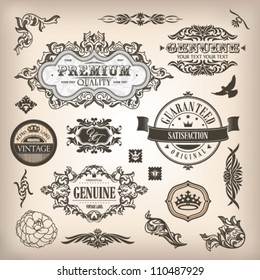 vector set of calligraphic design elements and page decoration