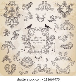 Vector Set: Calligraphic Design Elements and Page Decoration, Vintage Frame collection with Flowers