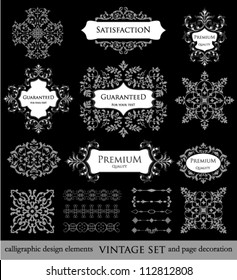 vector set: calligraphic design elements and page decoration