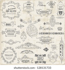 Vector Set: Calligraphic Design Elements and Page Decoration, Vintage Frame collection