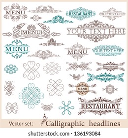 Vector set: calligraphic design elements for menu or its.
