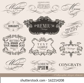 Vector set of calligraphic design elements/ old style