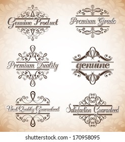 vector set of calligraphic design elements and page decoration