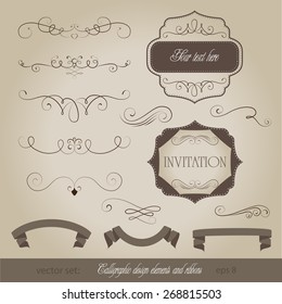 vector set: calligraphic design elements and page decorations and ribbons. beautiful calligraphic line