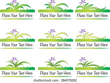 vector set: calligraphic design elements and page decoration