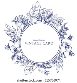 Vector set of calligraphic design elements, vintage botanical dog-rose flower card, Vintage Floral Greeting Card with colorful, Vector Illustration