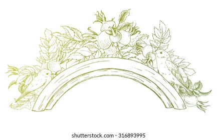 Vector set of calligraphic design elements, Vintage botanical round frame with rose hips, berries and birds, Vintage Floral Greeting Card with colorful, round retro frame