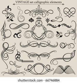 Vector set: calligraphic design elements and page decoration