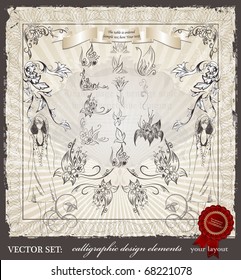 vector set: calligraphic design elements and page decoration - lots of useful elements to embellish your layout