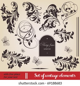 vector set: calligraphic design elements and page decoration - lots of useful elements to embellish your layout