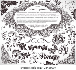 vector set: calligraphic design elements and page decoration - lots of useful elements to embellish your layout