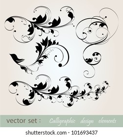 vector set: calligraphic design floral elements and page decoration .