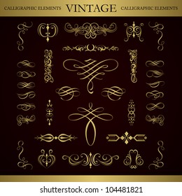 Vector set calligraphic element and page decoration