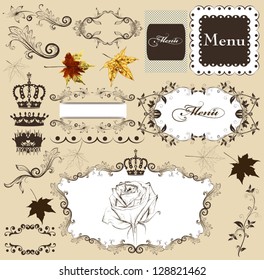 Vector set of calligraphic elements for design. Retro vector