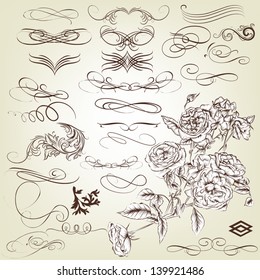 Vector set of calligraphic elements for design. Calligraphic vector