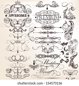 Vector set of calligraphic elements for design. Calligraphic vector