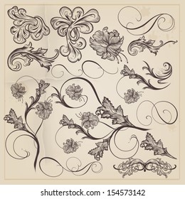 Vector set of calligraphic elements for design