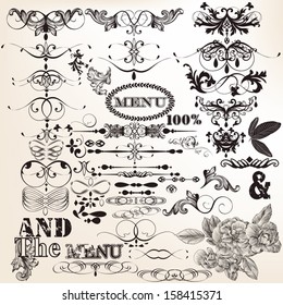 Vector set of calligraphic elements for design. Calligraphic vector