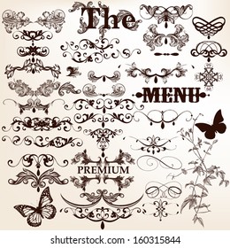 Vector set of calligraphic elements for design. Calligraphic vector