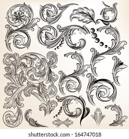 Vector set of calligraphic elements for design. Calligraphic vector