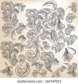 Vector set of calligraphic elements for design. Calligraphic vector