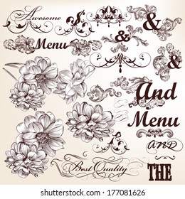 Vector set of calligraphic elements for design. Calligraphic vector