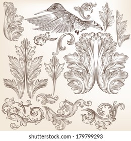 Vector set of calligraphic elements for design. Calligraphic vector