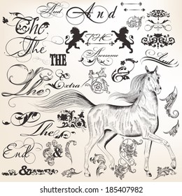 Vector set of calligraphic elements for design. Calligraphic vector