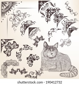 Vector set of calligraphic elements for design. Calligraphic vector