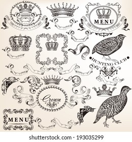 Vector set of calligraphic elements for design. Calligraphic vector