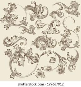 Vector set of calligraphic elements for design. Calligraphic vector