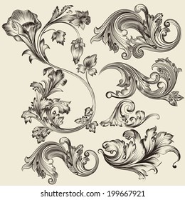 Vector set of calligraphic elements for design. Calligraphic vector