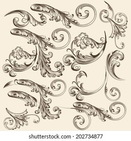 Vector set of calligraphic elements for design. Calligraphic vector