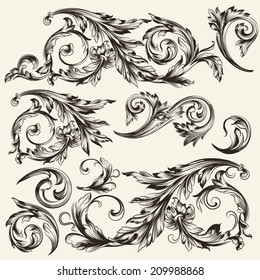 Vector set of calligraphic elements for design. Calligraphic vector