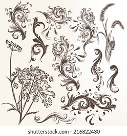 Vector set of calligraphic elements for design. Calligraphic vector