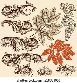 Vector set of calligraphic elements for design. Calligraphic vector