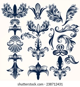 Vector set of calligraphic elements for design. Calligraphic vector