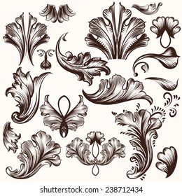Vector set of calligraphic elements for design. Calligraphic vector