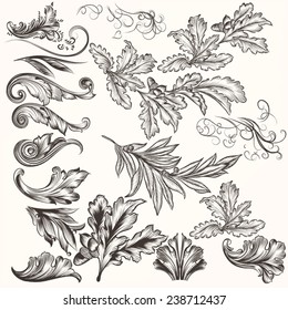 Vector set of calligraphic elements for design. Calligraphic vector