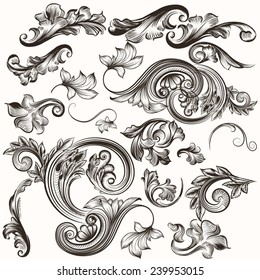 Vector set of calligraphic elements for design. Calligraphic vector