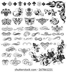 Vector set of calligraphic elements for design