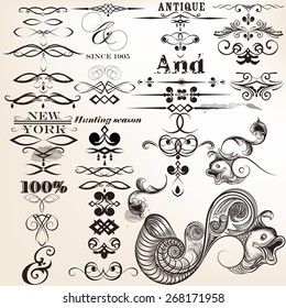Vector set of calligraphic elements for design. Calligraphic vector