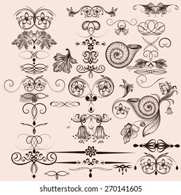 Vector set of calligraphic elements for design. Calligraphic vector