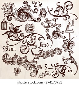 Vector set of calligraphic elements for design. Calligraphic vector